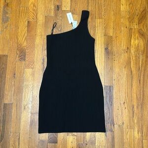 Aritzia Babaton dress